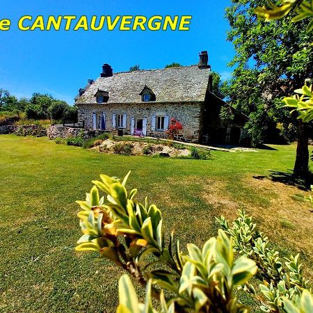 Vebret Gite Cantauvergne 빌라 외부 사진