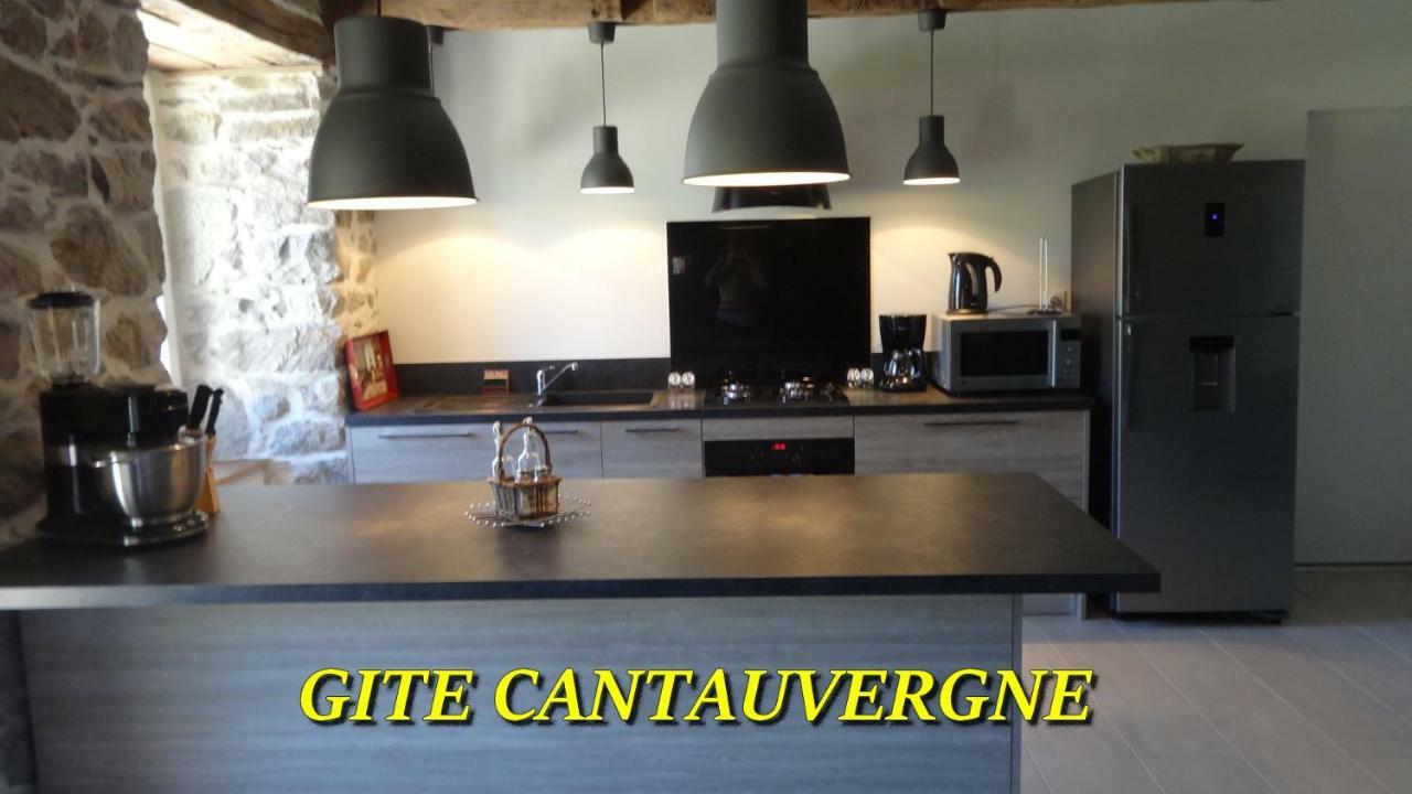 Vebret Gite Cantauvergne 빌라 외부 사진