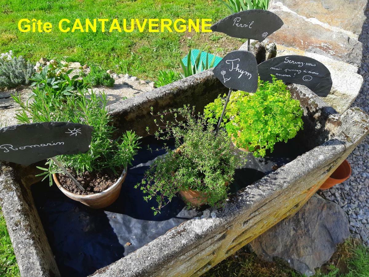 Vebret Gite Cantauvergne 빌라 외부 사진